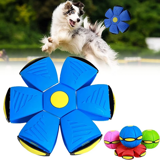 💥Big Sale 💥 25% Off🔥 Airball Interactive Ball for Dogs